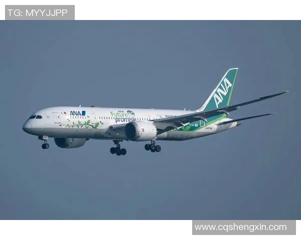 为啥叫全日空比赛-为何全日空比赛备受瞩目?为啥叫全日空比赛 为啥叫全日空比赛-为何全日空比赛备受瞩目?为啥叫全日空比赛